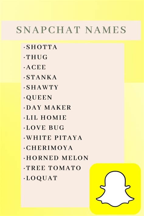 207+ Unique Snapchat Username Ideas for Everyone